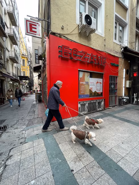 Ração para Cães Adultos (15kg)